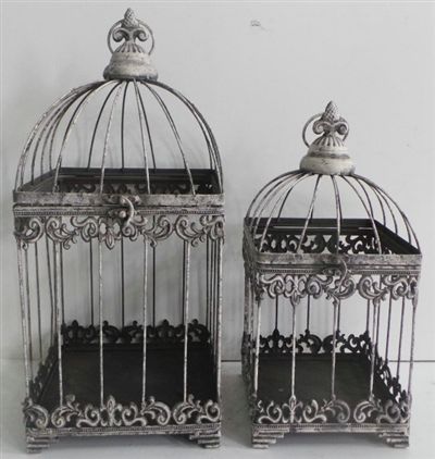 Set X 2 Jaula Portavela